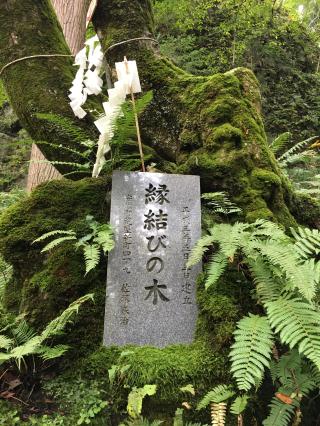 櫻松神社の参拝記録(きよぽんさん)