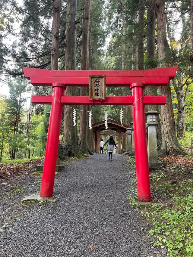 櫻松神社の参拝記録4