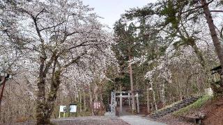 櫻松神社の参拝記録(猫狂さん)