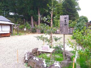 榊山稲荷神社の参拝記録(桃さん)