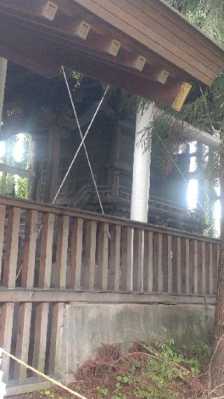 住吉神社の参拝記録(ステイさん)