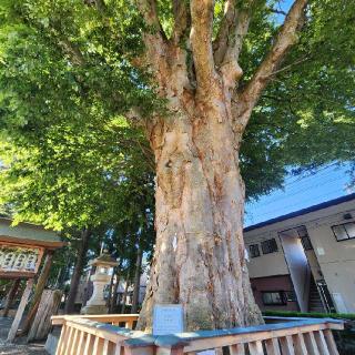住吉神社の参拝記録(靈氣さん)