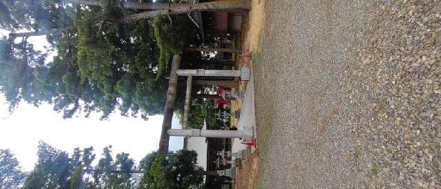 大宮神社の参拝記録3