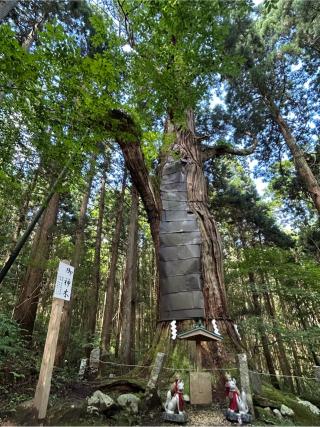 志和稲荷神社の参拝記録(ゆうたさん)
