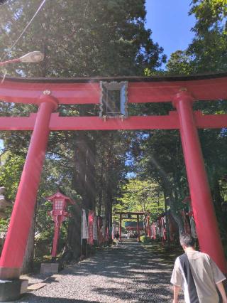 志和稲荷神社の参拝記録(ゆきちさん)