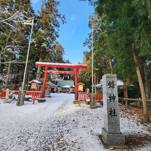 岩手県紫波郡紫波町宮手字陣ヶ岡６９ 蜂神社の写真2