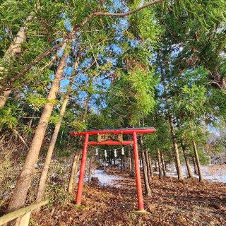 蜂神社の参拝記録(靈氣さん)