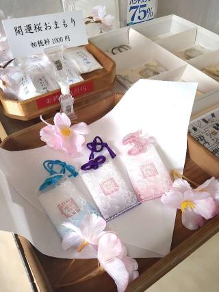 鳥谷崎神社の参拝記録(桃さん)