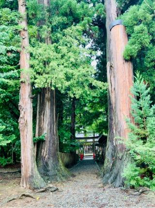 八坂神社の参拝記録(SUPRAさん)