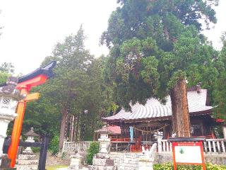 鼬幣稲荷神社の参拝記録(桃さん)