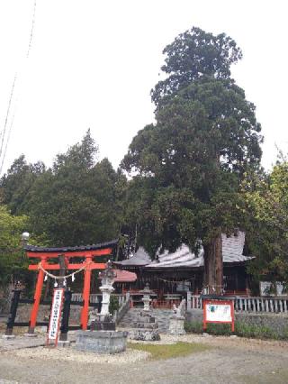 鼬幣稲荷神社の参拝記録(桃さん)