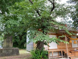 鳥海神社の参拝記録(MA-323さん)