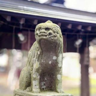 鏑八幡神社の参拝記録(桃さん)