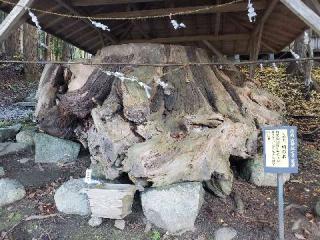 丹内山神社の参拝記録(しんさん)