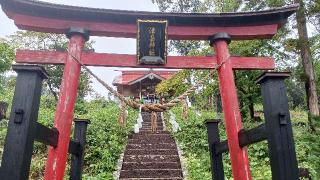 津島神社の参拝記録(SFUKUさん)