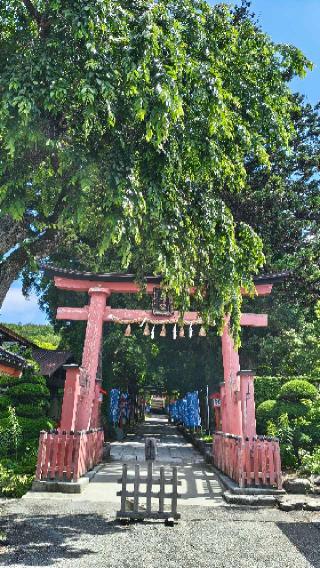 遠野郷八幡宮の参拝記録(あにぃさん)