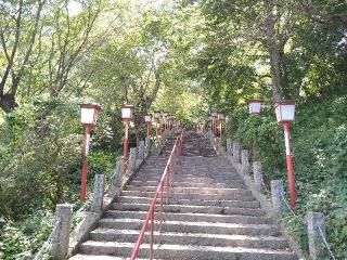 南部神社の参拝記録(桃さん)