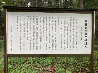 市姫神社の参拝記録(神社の氣が好きさん)