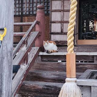 熊野神社の参拝記録(靈氣さん)