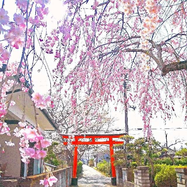 金ヶ崎神社の参拝記録4