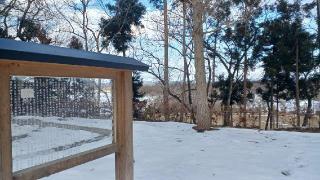 金ヶ崎神社の参拝記録(SFUKUさん)