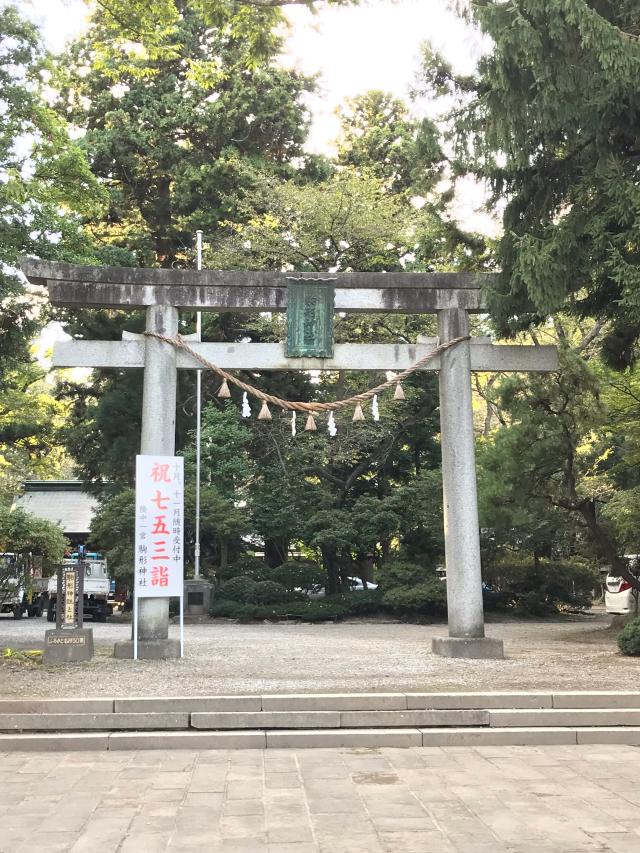 岩手県奥州市水沢中上野町1-83 駒形神社（お駒さま・駒形さま）の写真6
