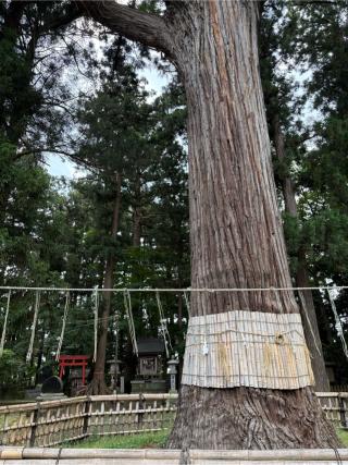 日高神社の参拝記録(Hacyさん)
