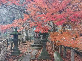 日高神社の参拝記録(軍畑先輩さん)