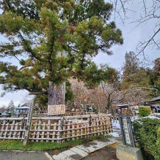 日高神社の参拝記録(靈氣さん)