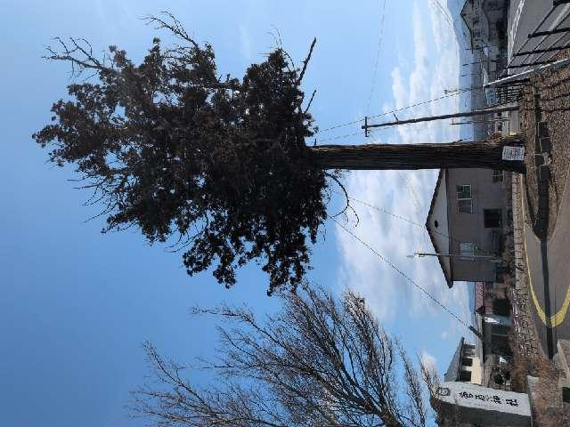 岩手県奥州市水沢姉体町寺の西１９ 菅原神社の写真2