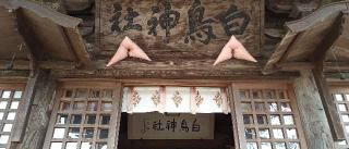 白鳥神社の参拝記録(桃さん)