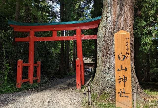 白山神社の参拝記録3