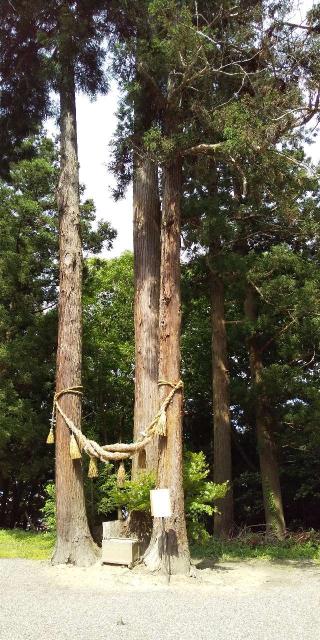 一関八幡神社（一関市釣山）の参拝記録(REIさん)