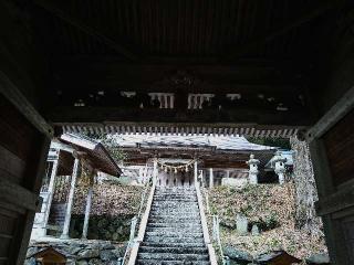 儛草神社の参拝記録(桃さん)