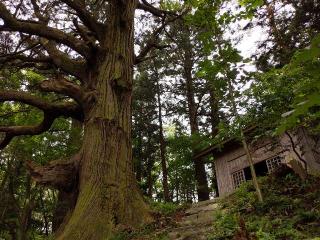 五葉山神社の参拝記録(ＦÙKUさん)