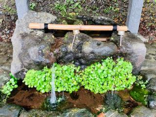 尾崎神社の参拝記録(SUPRAさん)