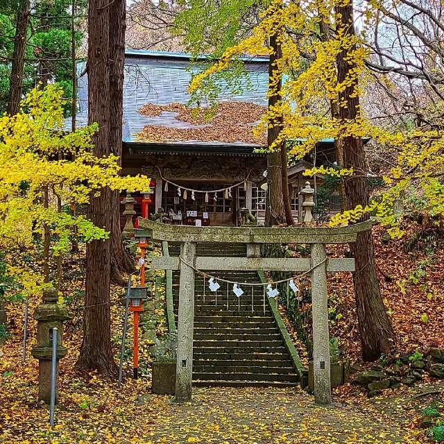 白瀑神社の参拝記録4