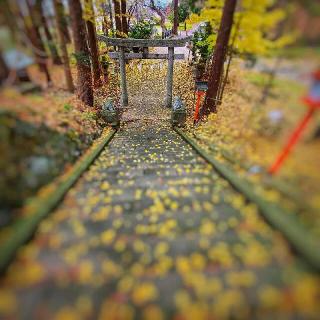 白瀑神社の参拝記録(ra300さん)