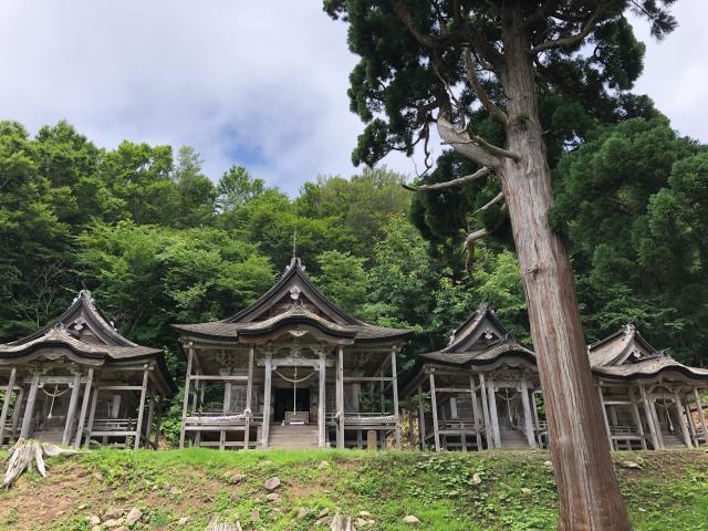 赤神神社五社堂の参拝記録(笹だんごさん)