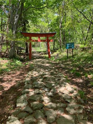 赤神神社五社堂の参拝記録(夏華さん)