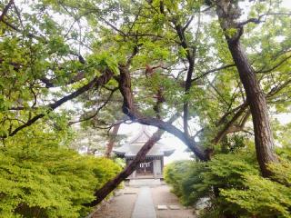 秋田大神宮の参拝記録(miyumikoさん)