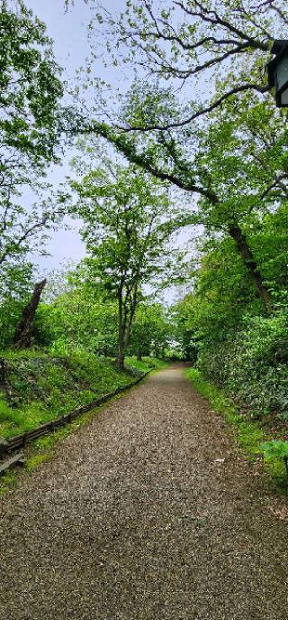 彌高神社の参拝記録(靈氣さん)