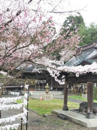 彌高神社の参拝記録(ハシさん)