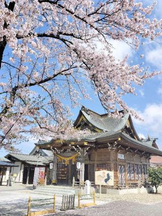 三皇熊野神社 本宮の参拝記録(ハシさん)