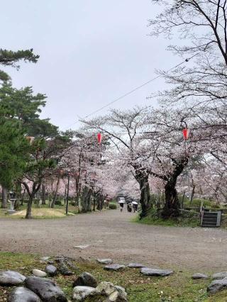八幡秋田神社の参拝記録(ハシさん)