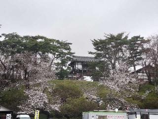 八幡秋田神社の参拝記録(ハシさん)