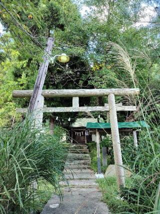 若宮八幡神社の参拝記録(ゆずさん)