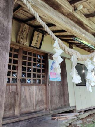 若宮八幡神社の参拝記録(ゆずさん)