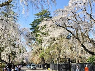 神明社の参拝記録(ハシさん)