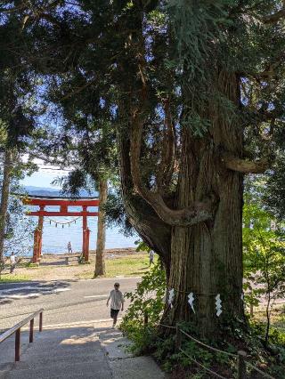御座石神社の参拝記録(ゆきちさん)